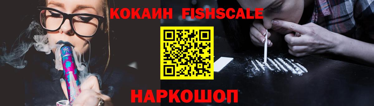 Кокаин Fish Scale  Вход с VPN  купить закладку  Cocaine Fish Scale  Горно-Алтайск 