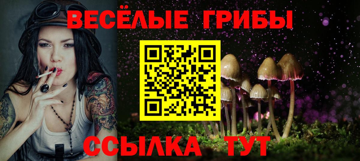Галлюциногенные грибы MAGIC MUSHROOMS  Вход с VPN  Горно-Алтайск 